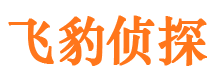 大东捉小三公司